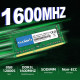 Оперативна пам'ять TECMIYO 1RX8 PC3L 12800S 8 ГБ DDR3 1600 RAM (1X8 ГБ) 1,35 В/1,5 В PC3-12800s DDR3 1600 МГц SODIMM CL11 без ECC