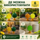Клейові пастки для мух із захистом від дощу та сонця ( 6 шт)