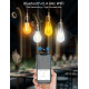Розумна лампочка Aigostar Edison WiFi E27