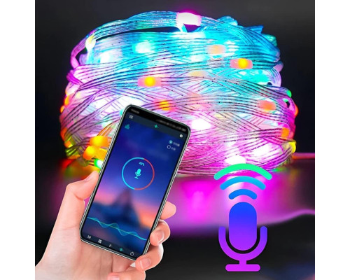 Розумна USB-гірлянда Lyoveu (5м.)