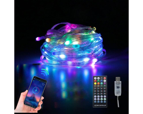 Розумна USB-гірлянда Lyoveu (5м.)