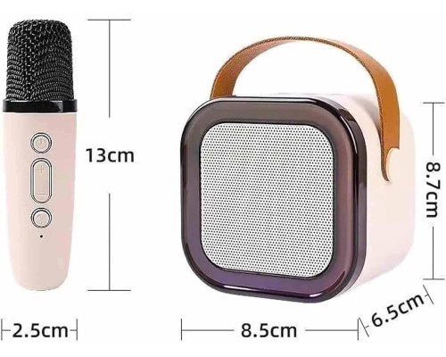 Міні-колонка для караоке з Bluetooth та 2 мікрофонами Bosjct