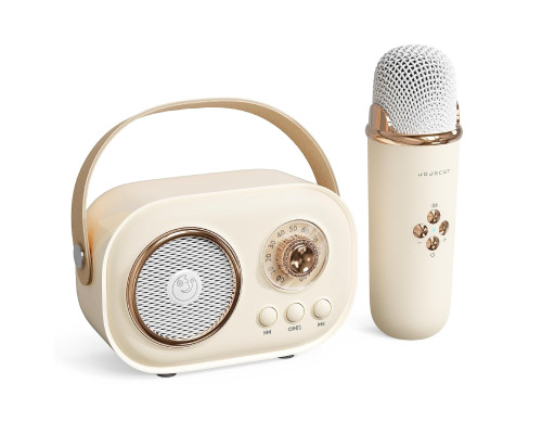 Портативна Bluetooth-колонка Baolira з мікрофоном