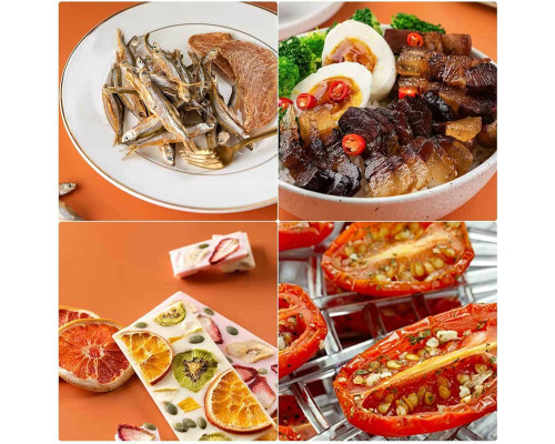 Електрична сушарка для харчових продуктів з 5 лотками
