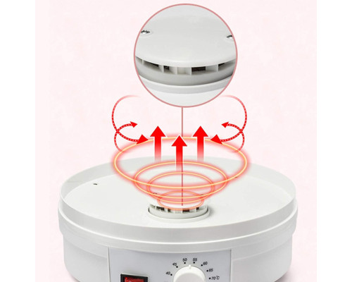 Електрична сушарка для харчових продуктів з 5 лотками