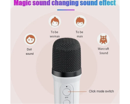 Бездротова Bluetooth-колонка-караоке з двома мікрофонами