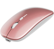 Бездротова миша 2.4G WERPOWER з USB-приймачем та адаптером Type-C