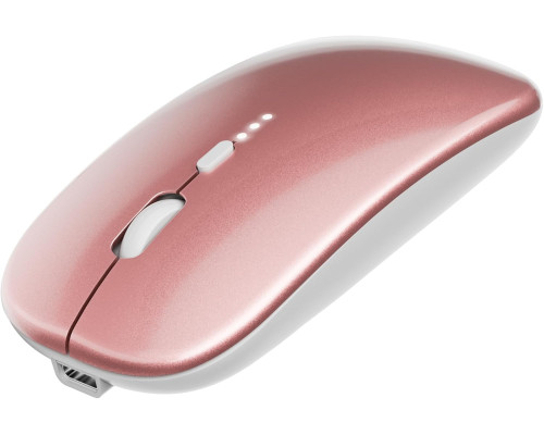 Бездротова миша 2.4G WERPOWER з USB-приймачем та адаптером Type-C
