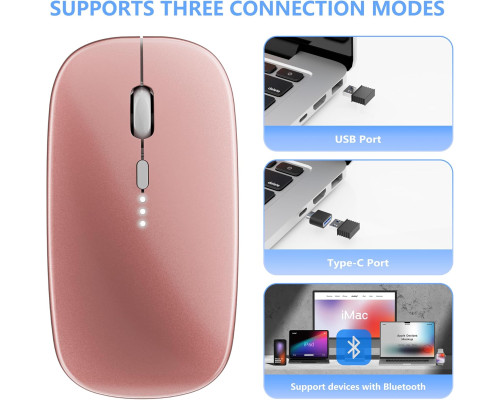 Бездротова миша 2.4G WERPOWER з USB-приймачем та адаптером Type-C